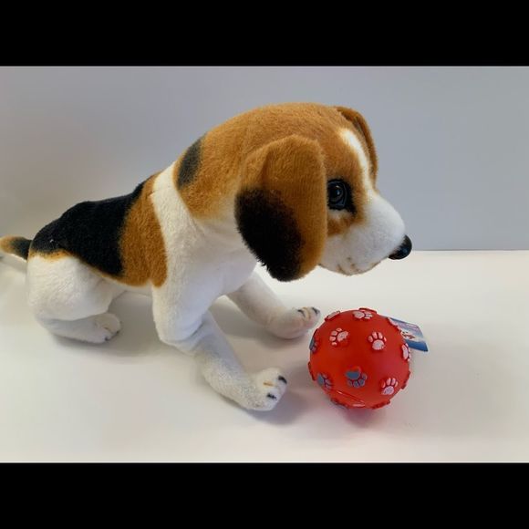 Pet- Squeaky Toy- Ball W/ Paw Prints - Various Colors - Picture 7 of 11